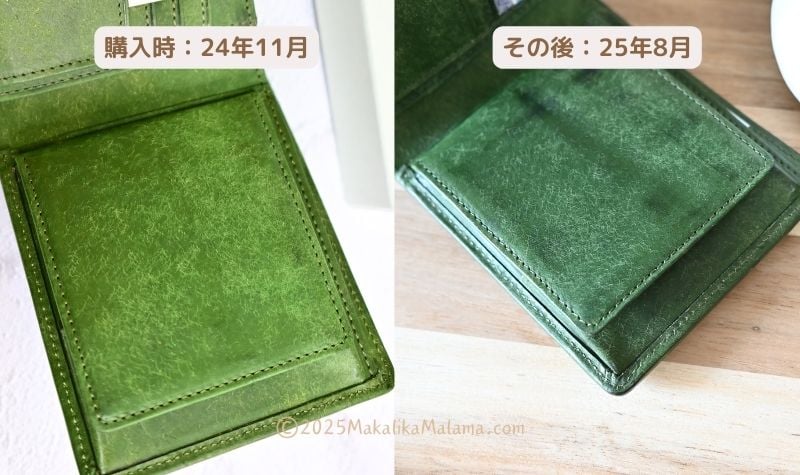 プエブログリーン購入時との比較