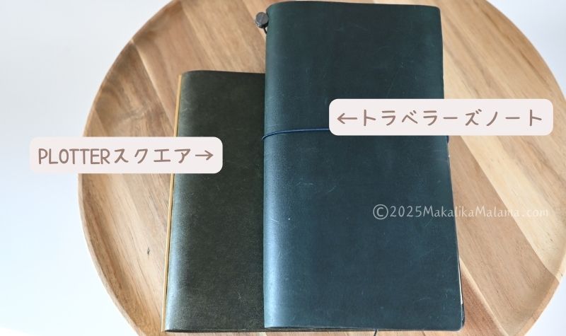 サイズ比較