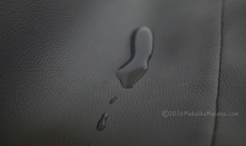 水をかけてみたところ