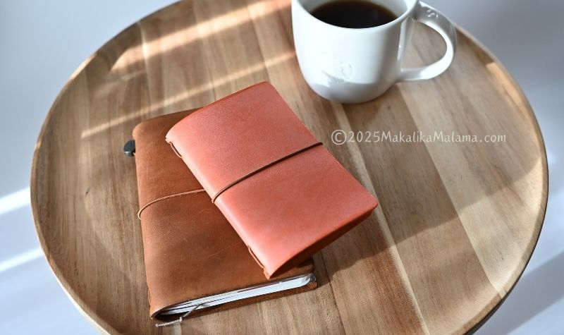 TNと並べてみた写真