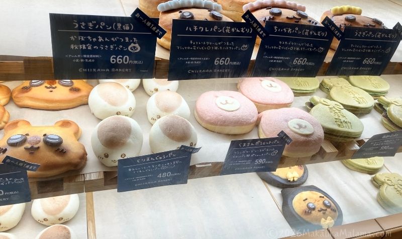 ショーケース